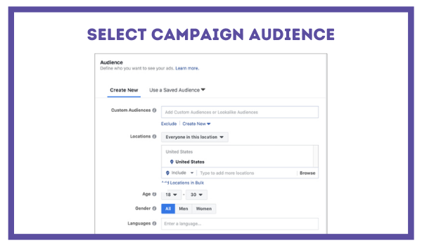 Select campaign audience